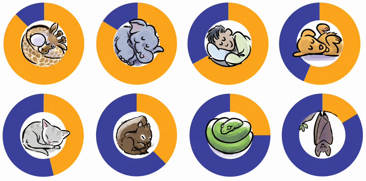 Fill in the average number of hours each living being sleeps in a day by looking at the charts. Select the appropriate hours from this list: 15, 2.5, 20, 8, 3.5, 13, 10.5, 18. Proportional Reasoning-2, NCERT Class 8 Ganita Prakash Mathematics CBSE Solutions.