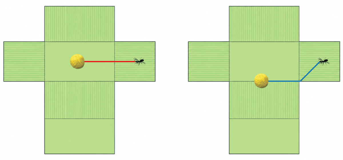 Are either of these the shortest path? Exploring Some Geometric Themes, NCERT Class 8 Ganita Prakash Mathematics CBSE Solutions.