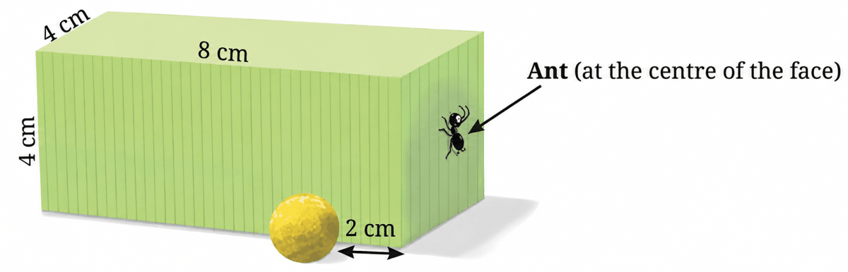 Find the shortest path between the ant and the laddu in the following case. Exploring Some Geometric Themes, NCERT Class 8 Ganita Prakash Mathematics CBSE Solutions.