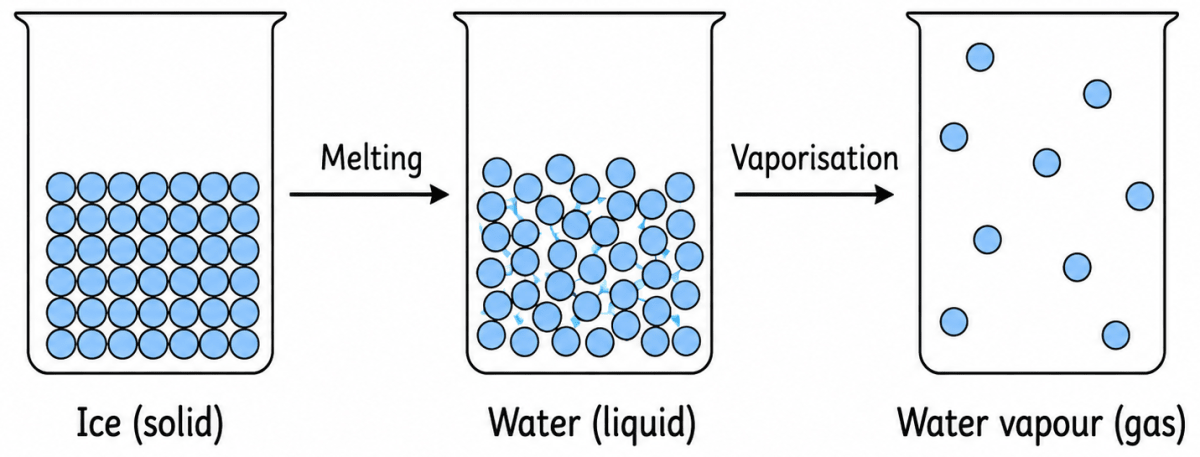 Represent diagrammatically the changes in the arrangement of particles as ice melts and transforms into water vapour. Particulate Nature of Matter, NCERT Class 8 Science CBSE Solutions.