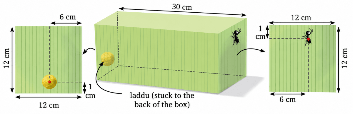 What is the length of the shortest path between the ant and the laddu in the following case? Exploring Some Geometric Themes, NCERT Class 8 Ganita Prakash Mathematics CBSE Solutions.