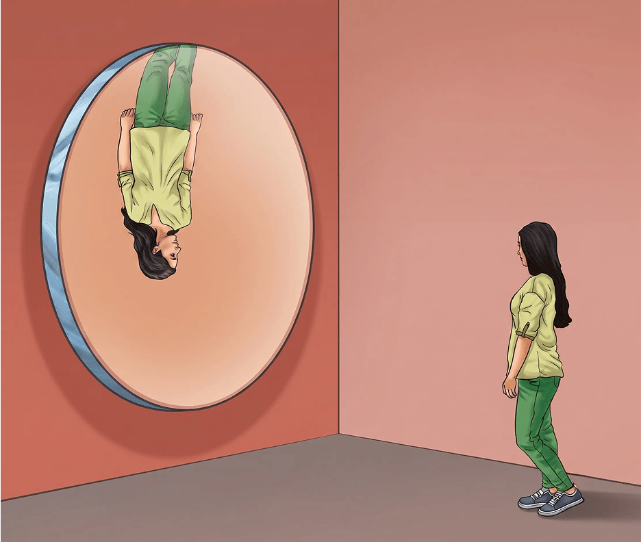 In a museum, a woman walks towards a large concave mirror (Fig. 10.26). She will see that. Light: Mirrors and Lenses, NCERT Class 8 Science CBSE Solutions.