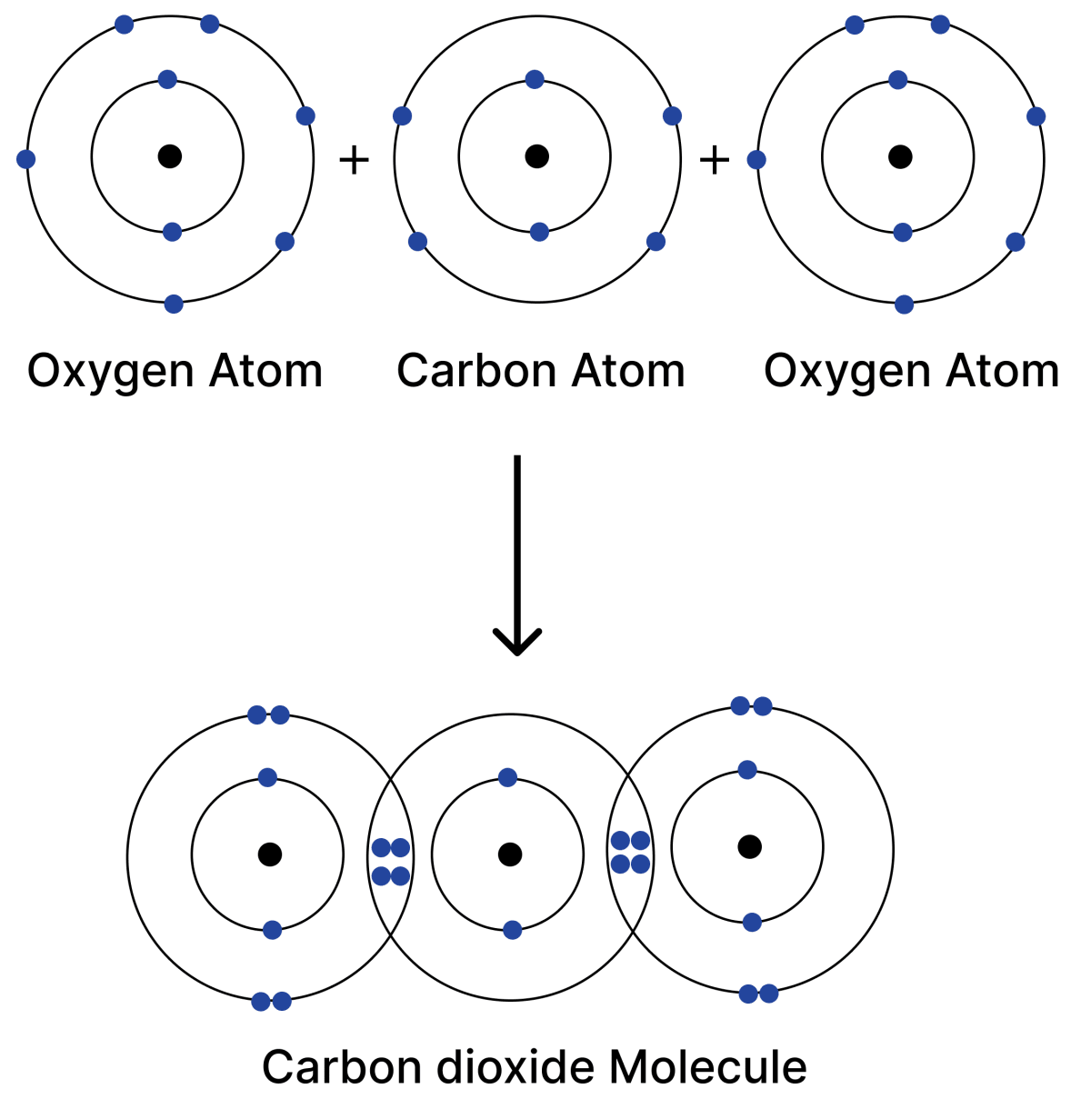 Show the formation of the following molecules: (i) Carbon dioxide (CO<sub>2</sub>) (ii) Hydrogen sulfide (H<sub>2</sub>S) (iii) Ammonia (NH<sub>3</sub>) Atomic Foundations of Matter, NCERT Class 9 Science CBSE Solutions.