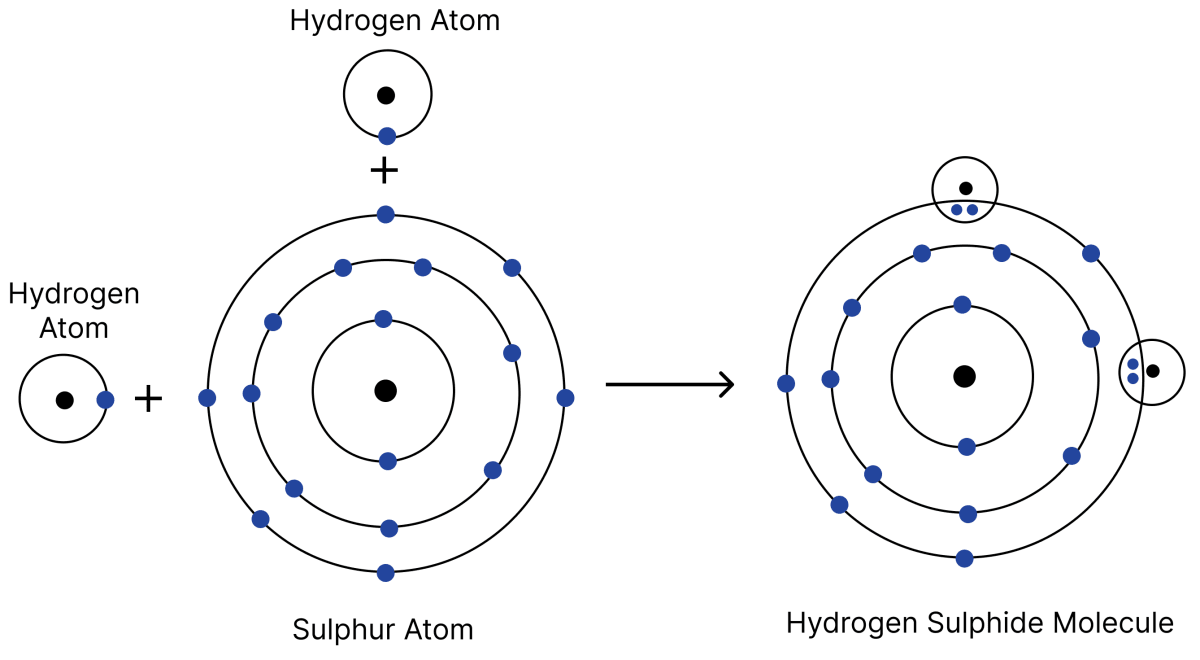 Show the formation of the following molecules: (i) Carbon dioxide (CO<sub>2</sub>) (ii) Hydrogen sulfide (H<sub>2</sub>S) (iii) Ammonia (NH<sub>3</sub>) Atomic Foundations of Matter, NCERT Class 9 Science CBSE Solutions.
