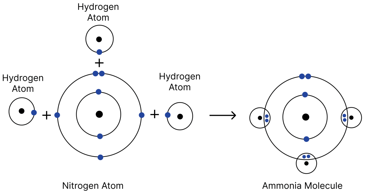 Show the formation of the following molecules: (i) Carbon dioxide (CO<sub>2</sub>) (ii) Hydrogen sulfide (H<sub>2</sub>S) (iii) Ammonia (NH<sub>3</sub>). Atomic Foundations of Matter, NCERT Class 9 Science CBSE Solutions.
