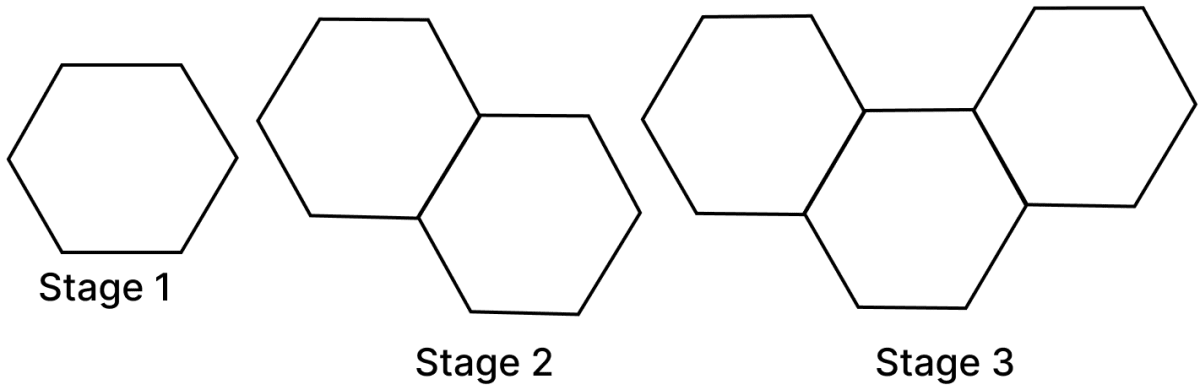 Look at the first three stages of a growing pattern of hexagons made using matchsticks. A new hexagon gets added at every stage which shares a side with the last hexagon of the previous stage. Introduction to Linear Polynomials, Solutions for Class 9 NCERT Ganita Manjari Mathematics CBSE