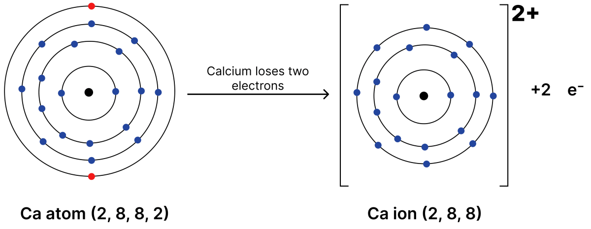 Show the formation of cations of potassium (K) and calcium (Ca) atoms, and the formation of their corresponding chlorides using diagrams. Atomic Foundations of Matter, NCERT Class 9 Science CBSE Solutions.