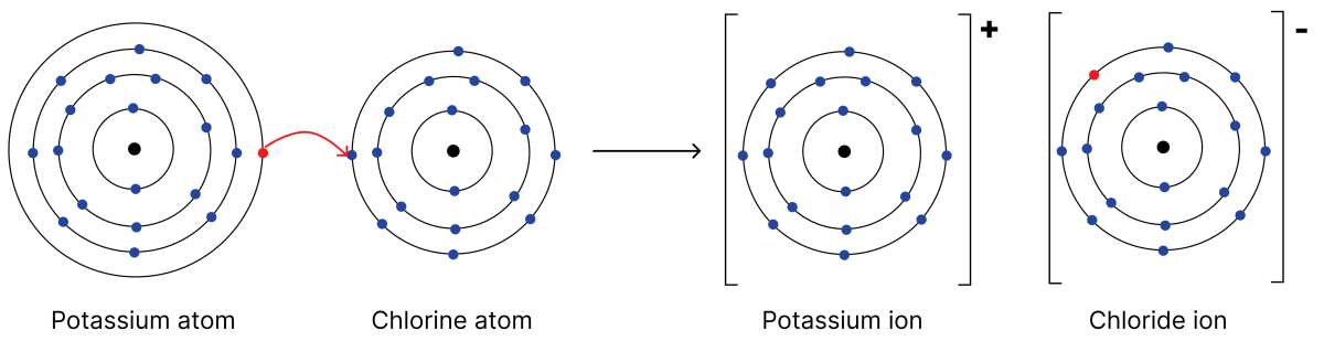 Show the formation of cations of potassium (K) and calcium (Ca) atoms, and the formation of their corresponding chlorides using diagrams. Atomic Foundations of Matter, NCERT Class 9 Science CBSE Solutions.