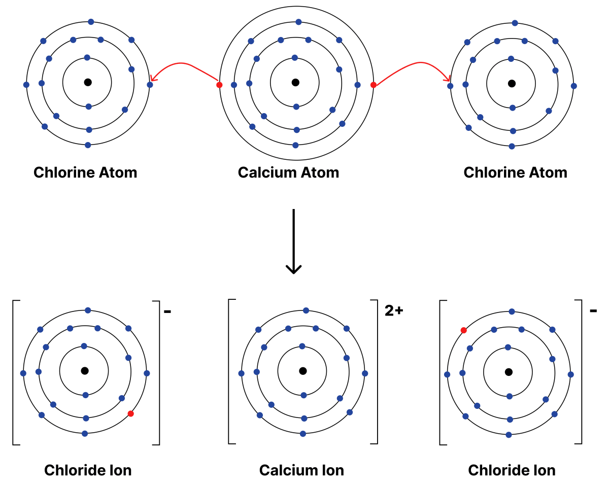 Show the formation of cations of potassium (K) and calcium (Ca) atoms, and the formation of their corresponding chlorides using diagrams. Atomic Foundations of Matter, NCERT Class 9 Science CBSE Solutions.