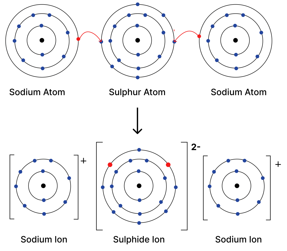 Illustrate how sodium sulfide (Na<sub>2</sub>S) is formed. Atomic Foundations of Matter, NCERT Class 9 Science CBSE Solutions.