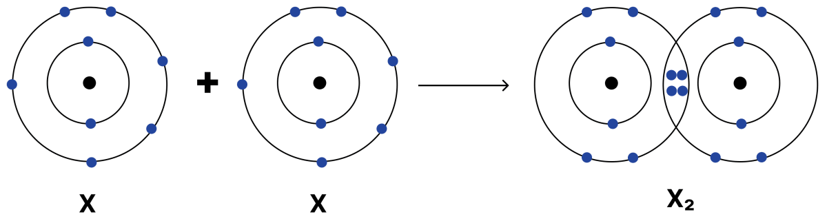 An element X has six electrons in its outer shell and forms a diatomic molecule. (i) Why would that be so? (ii) What kind of bond would it form? (iii) Draw the structure of the molecule it would form. (iv) A certain other element Y has two electrons in its second shell. Draw the structure of the molecule that X would form with Y. Atomic Foundations of Matter, NCERT Class 9 Science CBSE Solutions.