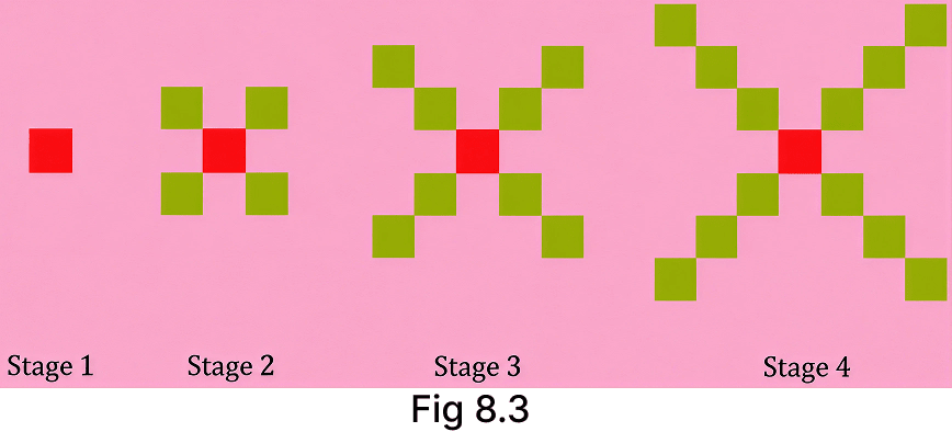 Can you predict the number of squares in Stages 5 and 6 of the pattern? In Stages 10, 11 and 12? In Stage 20? At any stage? How is this different from the growing pattern in Fig. 8.3? Predicting What Comes Next: Exploring Sequences and Progressions, Solutions for Class 9 NCERT Ganita Manjari Mathematics CBSE