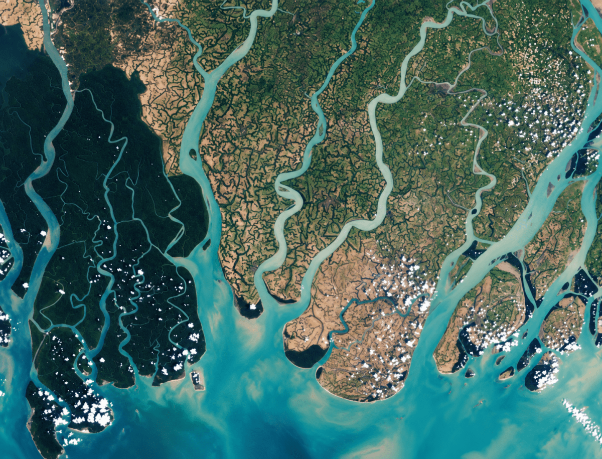 Have you heard about the Sundarbans delta? Try and explore its uniqueness and find out why it is popular with tourists. Shaping of the Earth's Surface, CBSE Class 9th NCERT Social Science Solutions.