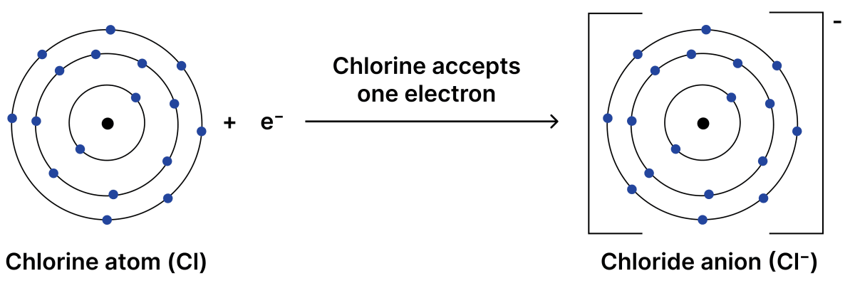 Which of the following, in Fig. 9.18, correctly represents Cl<sup>–</sup> ion (Atomic number of chlorine = 17). Atomic Foundations of Matter, NCERT Class 9 Science CBSE Solutions.