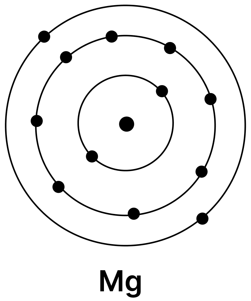 Magnesium is essential for many biological processes, including muscle contraction. For an atom of magnesium with a mass number of 24 and atomic number 12, determine the number of (i) protons, (ii) neutrons, (iii) electrons, and also illustrate the arrangement of electrons in a magnesium atom. Journey Inside the Atom, NCERT Class 9 Science CBSE Solutions.