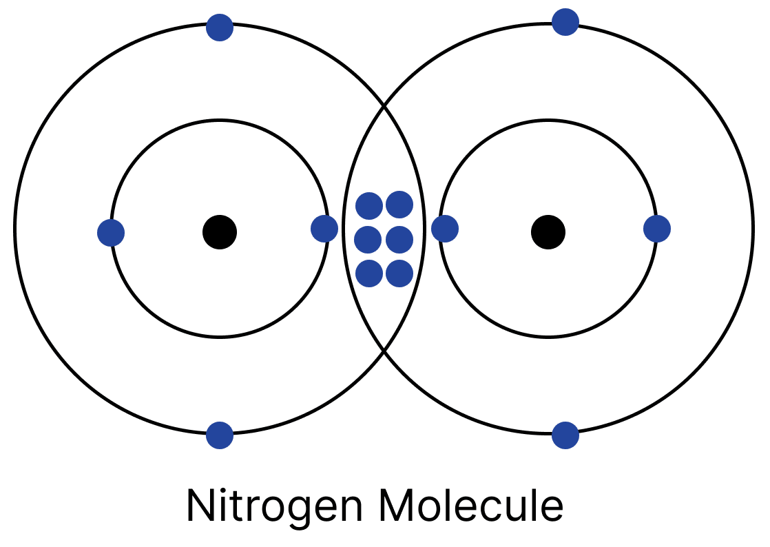 Nitrogen has five valence electrons. Draw the structure of the nitrogen molecule (N<sub>2</sub>). Atomic Foundations of Matter, NCERT Class 9 Science CBSE Solutions.