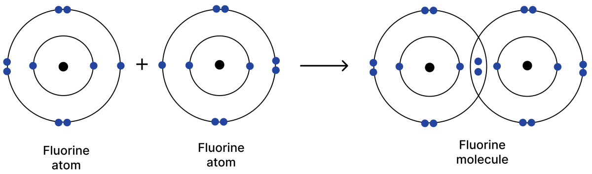 The atomic number of fluorine is 9. Explain the formation of the fluorine molecule (F<sub>2</sub>). Atomic Foundations of Matter, NCERT Class 9 Science CBSE Solutions.