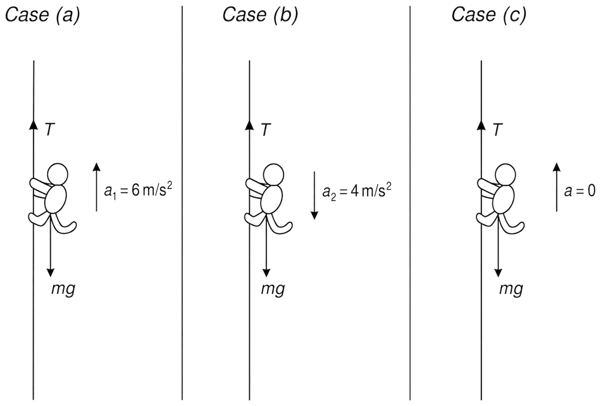 A monkey of mass 40 kg climbs on a rope which can withstand a maximum tension of 600 N. In which case will the rope break? The monkey (a) climbs up with an acceleration of 6 ms -2, (b) climbs down with an acceleration of 4 ms -2, (c) climbs up with uniform speed of 5 ms -1, (d) falls down the rope nearly freely under gravity? (Take g = 10 ms -2, ignore mass of the rope.). Laws of Motion, Solutions for Class 11 ISC Nootan Physics Kumar Mittal Nageen Prakashan