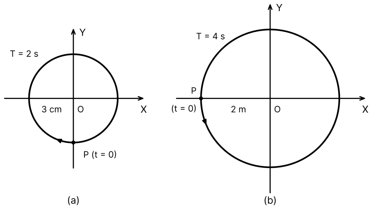 Fig. (a), (b) given correspond to two circular motions. The radius of the circle, the period of revolution, the initial position and the sense of revolution (that is, clockwise or anticlockwise) are indicated in each figure. Obtain the corresponding S.H.M.s of the X-projection of the radius vector of the revolving particle P in each case. Oscillations, Solutions for Class 11 ISC Nootan Physics Kumar Mittal Nageen Prakashan