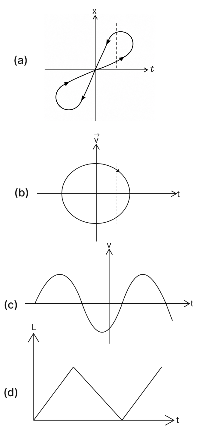 The following graphs (a), (b), (c) and (d) show respectively the position-time (x-t), velocity-time ( vec text v -t), speed-time (v-t) and path length-time (L-t) relations. Which of these cannot possibly represent one-dimensional motion of a particle, and why? Motion, Solutions for Class 11 ISC Nootan Physics Kumar Mittal Nageen Prakashan