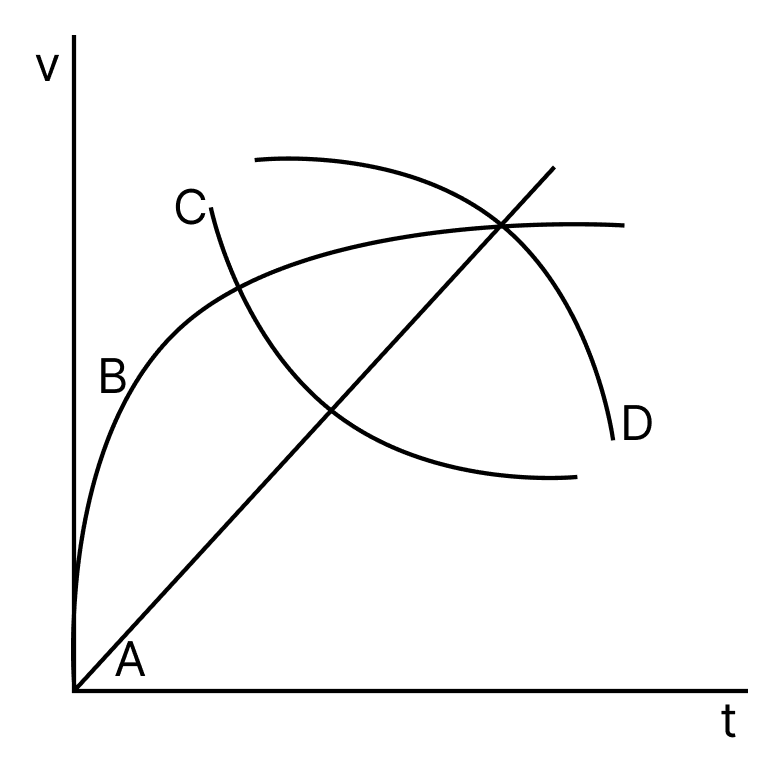 A spherical ball is dropped in a long column of a highly viscous liquid. The curve in the graph shown, which represents the speed of the ball (v) as a function of time (t) is:. Mechanical Properties of Fluids, Solutions for Class 11 ISC Nootan Physics Kumar Mittal Nageen Prakashan