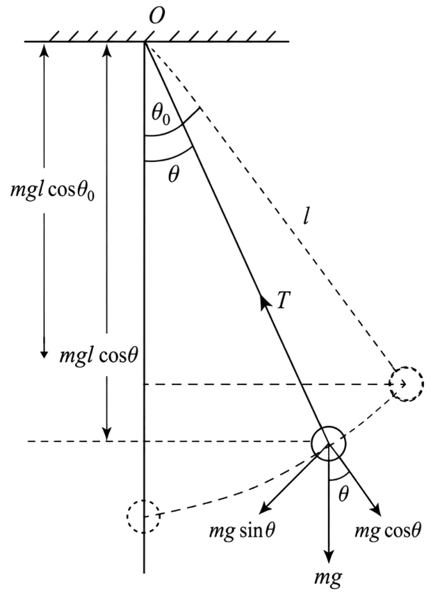 A 40-kg sphere suspended by a thread of length l is oscillating in a vertical plane, the angular amplitude being θ 0. What is the tension in the thread when it makes an angle θ with the vertical during oscillations? If the thread can support a maximum tension of 80 kg, then what can be the maximum angular amplitude of oscillation of the sphere? Work Energy Power, Solutions for Class 11 ISC Nootan Physics Kumar Mittal Nageen Prakashan