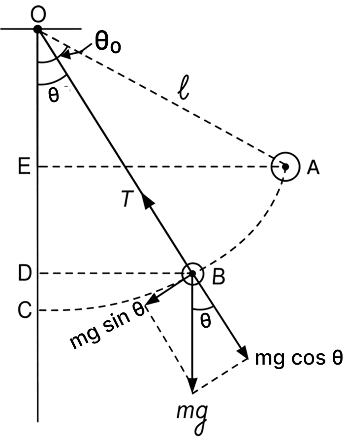 A 500-g sphere suspended by a string of 1.0 m length is oscillating in a vertical plane, and its angular amplitude is 60°. During oscillations, when the string is at 30° with vertical, then calculate the tension in the string. (g = 10 ms -2 ). Work Energy Power, Solutions for Class 11 ISC Nootan Physics Kumar Mittal Nageen Prakashan