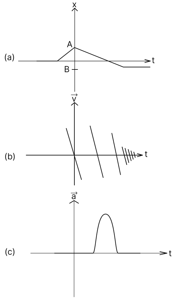 Suggest a suitable physical situation for each of the following graphs:. Motion, Solutions for Class 11 ISC Nootan Physics Kumar Mittal Nageen Prakashan