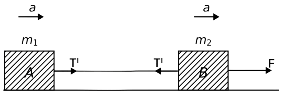 Two bodies of masses 10 kg and 20 kg respectively kept on a smooth, horizontal surface are tied to the ends of a light string. A horizontal force F = 600 N is applied to (i) A, (ii) B along the direction of string. What is the tension in the string in each case? Laws of Motion, Solutions for Class 11 ISC Nootan Physics Kumar Mittal Nageen Prakashan