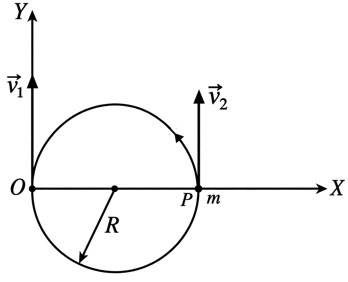 A man at the origin O starts moving with a constant velocity vec text v_1 along + Y-axis. At the same instant, a particle of mass m starts moving from point P with a uniform velocity vec text v_2 along a circle of radius R, as shown. Find the linear momentum of the particle with respect to the man as a function of time t. Work Energy Power, Solutions for Class 11 ISC Nootan Physics Kumar Mittal Nageen Prakashan