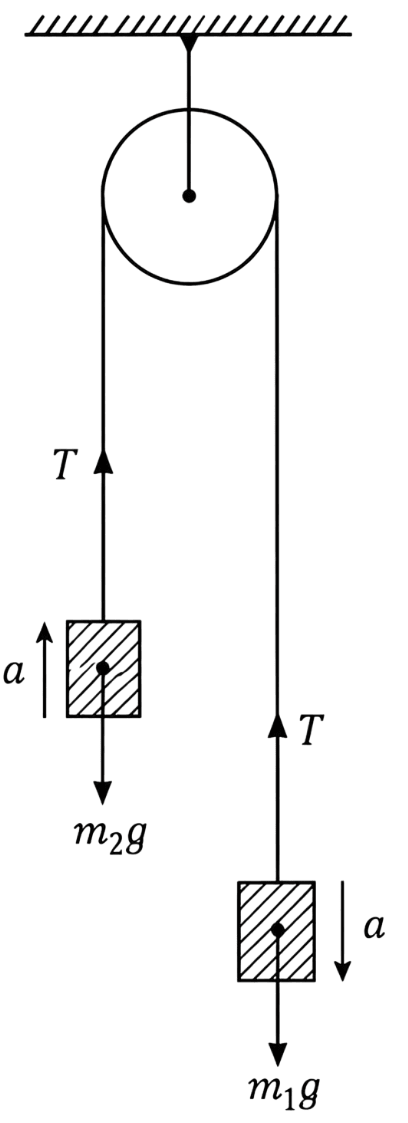 Two masses m 1 = 12 kg and m 2 = 8 kg are connected at the two ends of a light, inextensible string passing over a light, frictionless pulley. Find the acceleration of the masses and the tension in the string when the masses are released. Laws of Motion, Solutions for Class 11 ISC Nootan Physics Kumar Mittal Nageen Prakashan