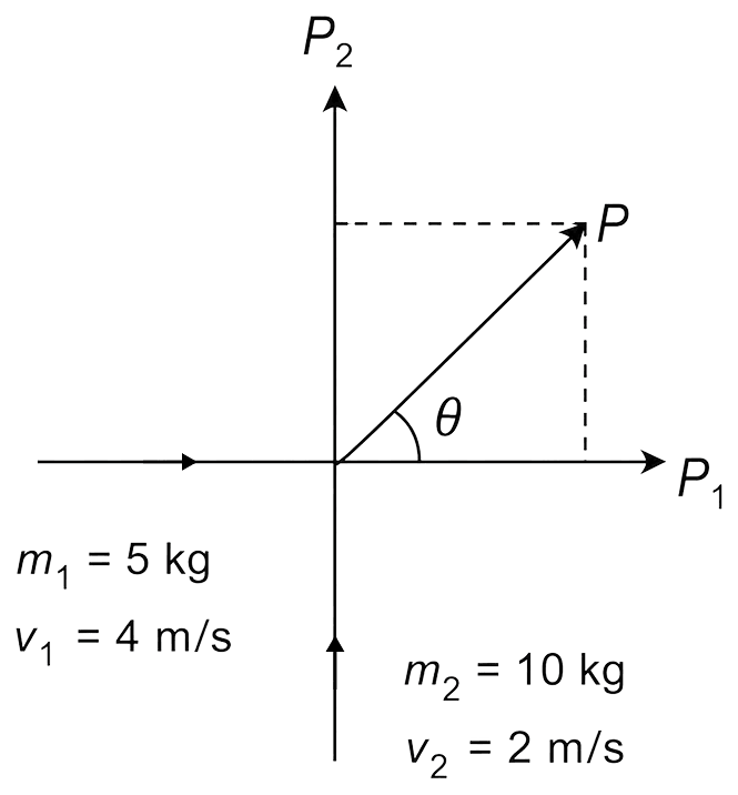 The velocities of two bodies (masses 5 kg and 10 kg) in the +x and +y directions are 4 m/s and 2 m/s respectively. They collide and stick together. What is the final velocity? Laws of Motion, Solutions for Class 11 ISC Nootan Physics Kumar Mittal Nageen Prakashan