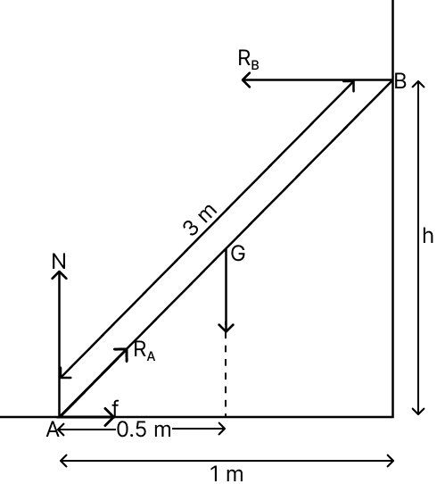 A uniform ladder of weight 20 kg is 3 m long, leans on a frictionless wall and rests on a rough horizontal floor. Its feet rests on the floor 1 m away from the wall. Find the reaction forces on the wall and the floor. g = 9.8 N/kg. System of Particles & Rotational Motion, Solutions for Class 11 ISC Nootan Physics Kumar Mittal Nageen Prakashan