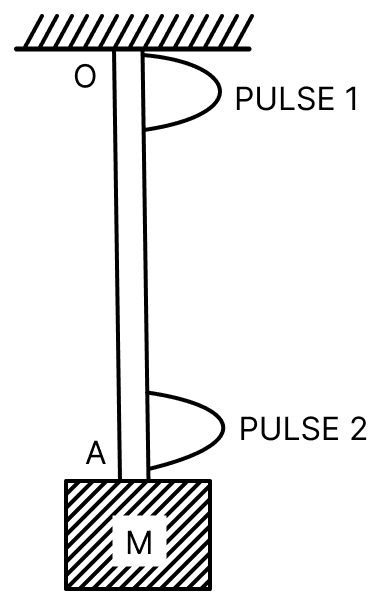 A block M hangs vertically at the bottom end of a uniform rope of constant mass per unit length. The top end of the rope is attached to a fixed rigid support at O. A transverse wave pulse (Pulse 1) of wavelength λ 0 is produced at point O on the rope. The pulse takes time T OA to reach point A. If the wave pulse of wavelength λ 0 is produced at a point A (Pulse 2) without disturbing the position of M it takes time T AO to reach O. Which of the following options is/are correct? Waves, Solutions for Class 11 ISC Nootan Physics Kumar Mittal Nageen Prakashan
