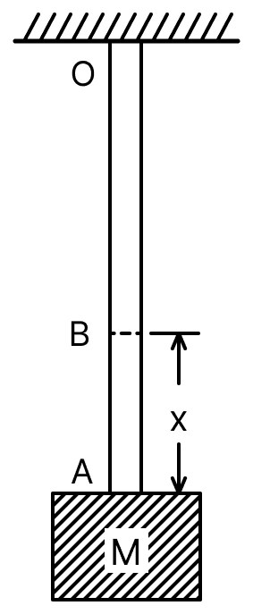 A block M hangs vertically at the bottom end of a uniform rope of constant mass per unit length. The top end of the rope is attached to a fixed rigid support at O. A transverse wave pulse (Pulse 1) of wavelength λ 0 is produced at point O on the rope. The pulse takes time T OA to reach point A. If the wave pulse of wavelength λ 0 is produced at a point A (Pulse 2) without disturbing the position of M it takes time T AO to reach O. Which of the following options is/are correct? Waves, Solutions for Class 11 ISC Nootan Physics Kumar Mittal Nageen Prakashan
