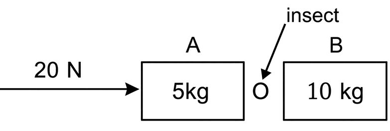 An insect is trapped between the two blocks A and B of masses 5 kg and 10 kg respectively, placed a smooth platform. The 5 kg block is pushed by a horizontal force of 20 N as shown in fig. The force experienced by the insect is:. Laws of Motion, Solutions for Class 11 ISC Nootan Physics Kumar Mittal Nageen Prakashan