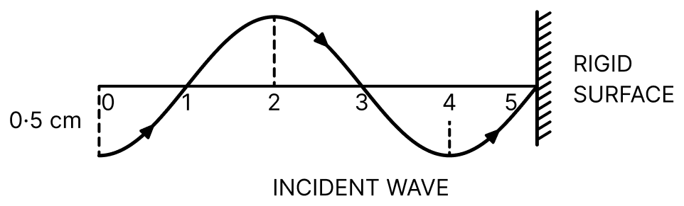 In the figure below is shown a progressive wave (amplitude = 0.5 cm) incident on a hard (rigid) surface. Draw (i) figure of reflected wave, (ii) figure of the resultant wave produced due to superposition of the incident and the reflected waves. Waves, Solutions for Class 11 ISC Nootan Physics Kumar Mittal Nageen Prakashan