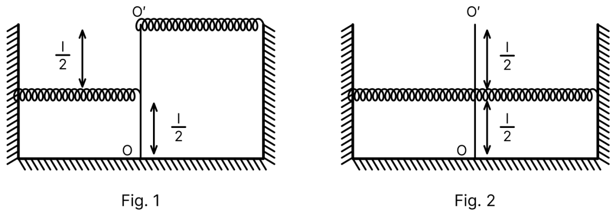 As shown in the figures, a uniform rod OO of length l is hinged at the point O and held in placed vertically between two walls using two massless springs of same spring constant. The springs are connected at the mid-point and at the top-end (O) of the rod, as shown in Fig. 1 and the rod is made to oscillate by a small angular displacement. The frequency of oscillation of the rod is n 1. On the other hand, if both the springs are connected at the mid-point of the rod, as shown in Fig. 2 and the rod is made to oscillate by a small angular displacement, then the frequency of oscillation is n 2. Ignoring gravity and assuming motion only in the plane of the diagram, the value of text n_1/ text n_2 is:. Oscillations, Solutions for Class 11 ISC Nootan Physics Kumar Mittal Nageen Prakashan