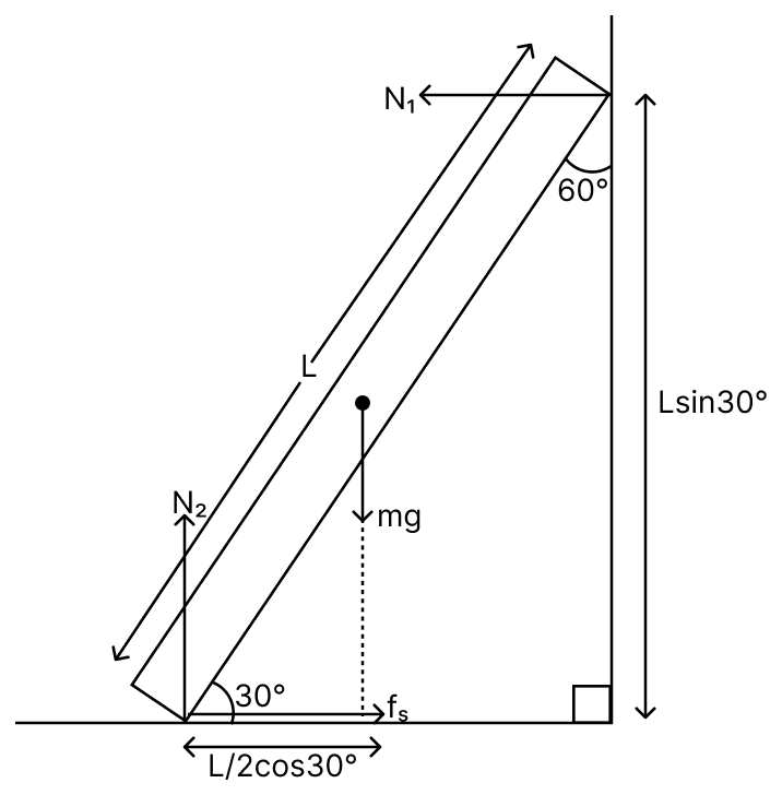 A uniform rod of mass 20 kg and length 5 m leans against a smooth vertical wall making an angle of 60° with it. The other end rests on a rough horizontal floor. The friction force that the floor exerts on the rod is (Take g = 10 m/s 2 ):. Laws of Motion, Solutions for Class 11 ISC Nootan Physics Kumar Mittal Nageen Prakashan