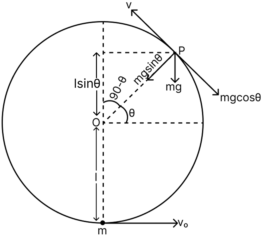 A bob of heavy mass m is suspended by a light string of length l. The bob is given a horizontal velocity v 0 as shown in figure. If the string gets slack at some point P making an angle θ from the horizontal, the ratio of the speed v of the bob at point P to its initial speed v 0 is:. Work Energy Power, Solutions for Class 11 ISC Nootan Physics Kumar Mittal Nageen Prakashan
