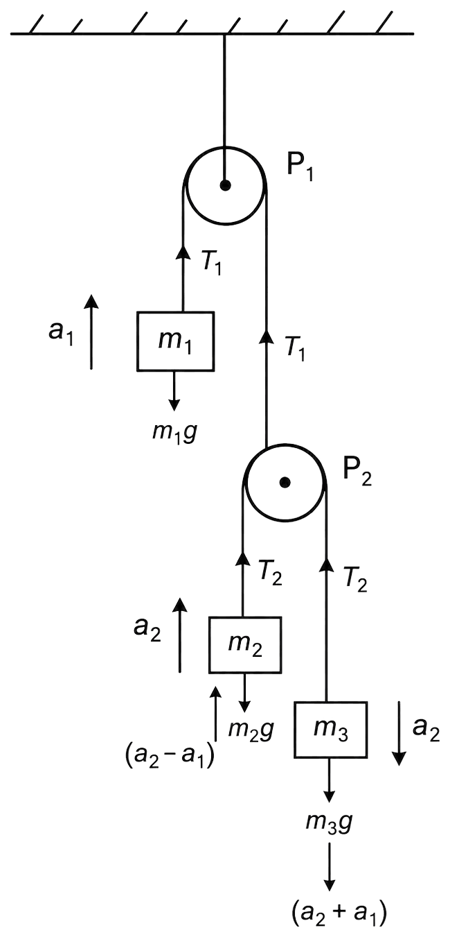 Figure shows three blocks of masses m 1 = 1 kg, m 2 = 2 kg and m 3 = 4 kg arranged by two light, inextensible strings and two light, frictionless pulleys P 1 and P 2 as shown in the figure. Find the acceleration of the blocks and tension in the strings. Laws of Motion, Solutions for Class 11 ISC Nootan Physics Kumar Mittal Nageen Prakashan