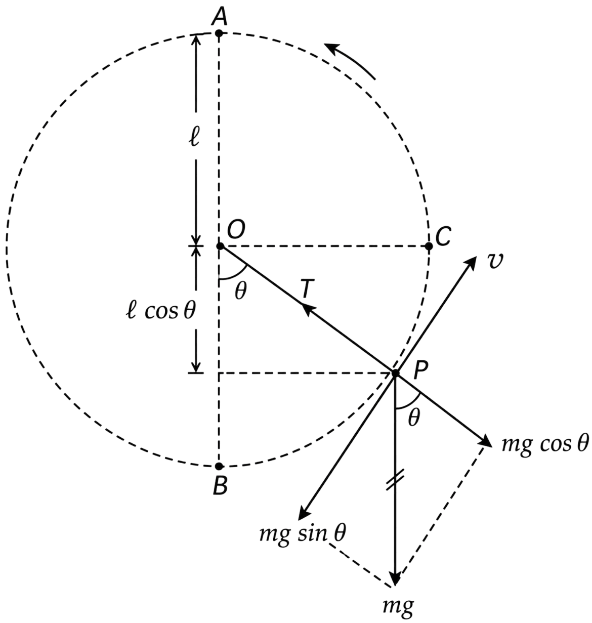 A small object of mass m is attached to a string of length l and is whirled in a vertical circle. Derive the expression for the minimum speed at the top of the circle required for the object to complete the circle without the string going slack. Also discuss the forces acting on the object at different points in the vertical circle and the variation of tension in the string throughout the motion. Work Energy Power, Solutions for Class 11 ISC Nootan Physics Kumar Mittal Nageen Prakashan