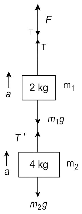 Two blocks are connected by a string as shown in the figure. The upper block is hung by another string. (i) What will be the tension in the upper string due to the two blocks suspended in rest position? (ii) What force F will have to be applied on the upper string to produce an acceleration of 2 m/s 2 in the upward direction in both blocks? (iii) Then, what will be the tension in the string between the two blocks? Laws of Motion, Solutions for Class 11 ISC Nootan Physics Kumar Mittal Nageen Prakashan