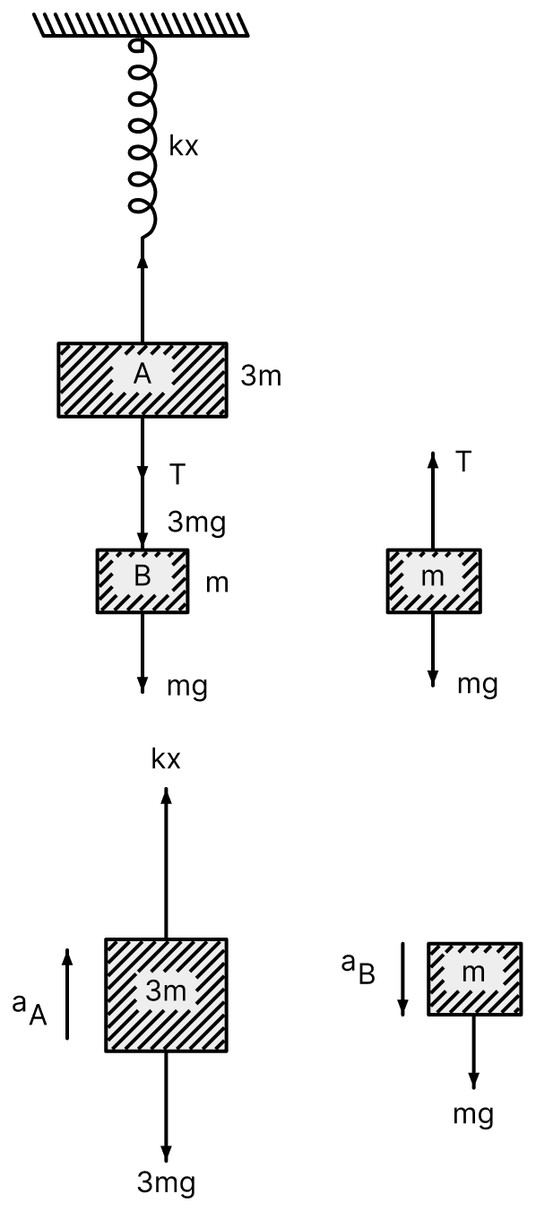 Two blocks A and B of masses 3m and m respectively are connected by a massless and inextensible string. The whole system is suspended by a massless spring as shown in figure. The magnitudes of acceleration of A and B immediately after the string is cut, are respectively:. Oscillations, Solutions for Class 11 ISC Nootan Physics Kumar Mittal Nageen Prakashan