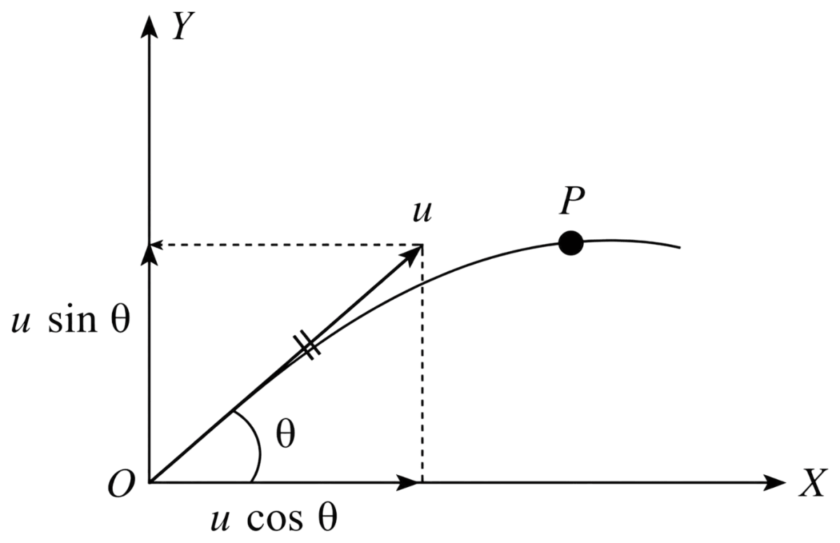 A particle of mass m is projected with a speed u at an angle θ to the horizontal at time t = 0. Find the angular momentum about the point of projection O at time t, vectorially. Assume the horizontal and vertical lines through O as the X and Y axis respectively. System of Particles & Rotational Motion, Solutions for Class 11 ISC Nootan Physics Kumar Mittal Nageen Prakashan