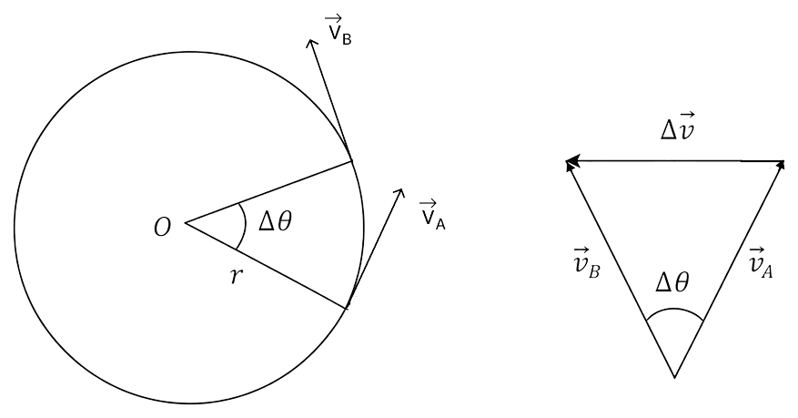 What do you understand by centripetal force? A particle of mass m is moving in a circular orbit of radius r with a uniform speed v. Find: (i) the acceleration of the particle towards the centre of the circular path, (ii) the centripetal force acting on the particle. Laws of Motion, Solutions for Class 11 ISC Nootan Physics Kumar Mittal Nageen Prakashan