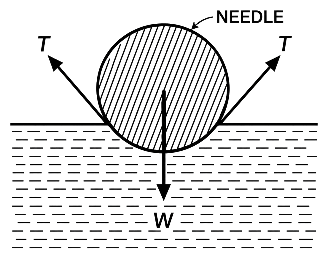 A small needle of iron floats on the surface of water. Which forces balance the needle? Show them by a diagram. Mechanical Properties of Fluids, Solutions for Class 11 ISC Nootan Physics Kumar Mittal Nageen Prakashan