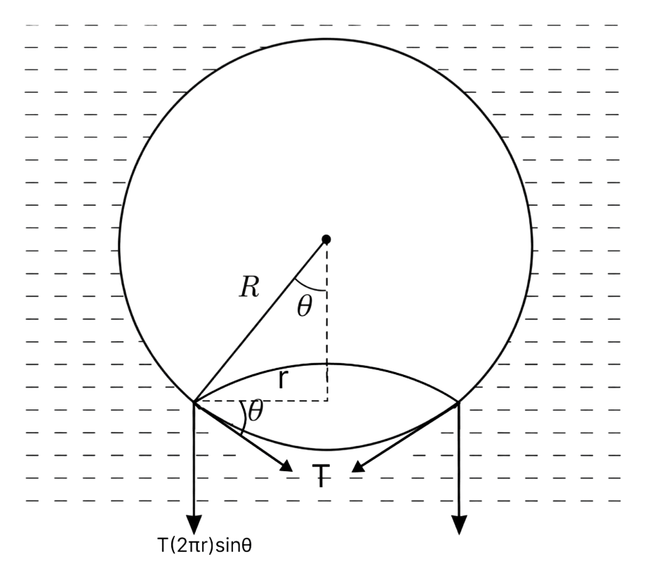 On heating water, bubbles being formed at the bottom of the vessel detatch and rise. Take the bubbles to be spheres of radius R and making a circular contact of radius r with the bottom of the vessel. If r << R, and the surface tension of water is T, value of r just before bubbles detatch is: (density of water is ρ w ). Mechanical Properties of Fluids, Solutions for Class 11 ISC Nootan Physics Kumar Mittal Nageen Prakashan