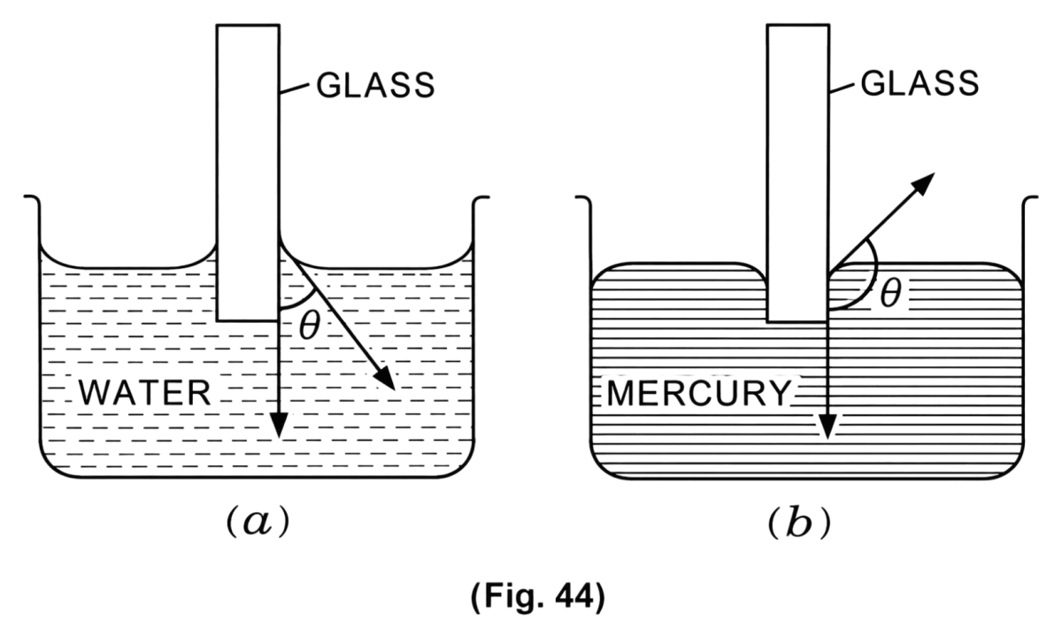 Define the term angle of contact. Draw labelled diagrams to show angle of contact between (i) water and glass, (ii) mercury and glass. What is the value of the angle of contact between water and clean glass? Mechanical Properties of Fluids, Solutions for Class 11 ISC Nootan Physics Kumar Mittal Nageen Prakashan