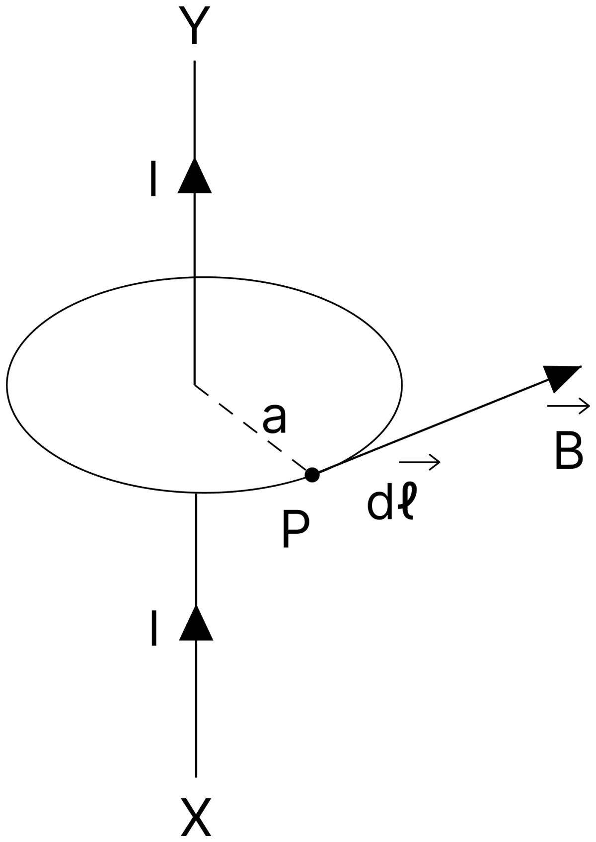 Using Amperes circuital law show that the magnetic flux density B at a point P at perpendicular distance a from a long current carrying conductor is given by, text B = ( text µ_0/4 text π )2 text I/ text a. (Statement of law not required.). Moving Charges and Magnetic Field, Nootan Physics Solutions ICS Class 12